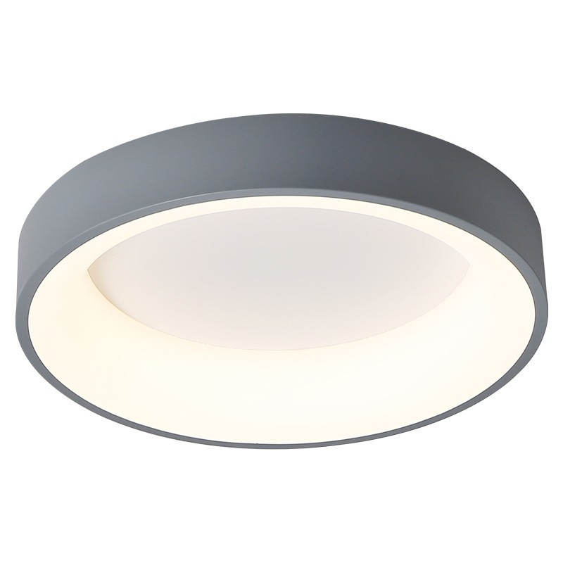 Standard ceiling light